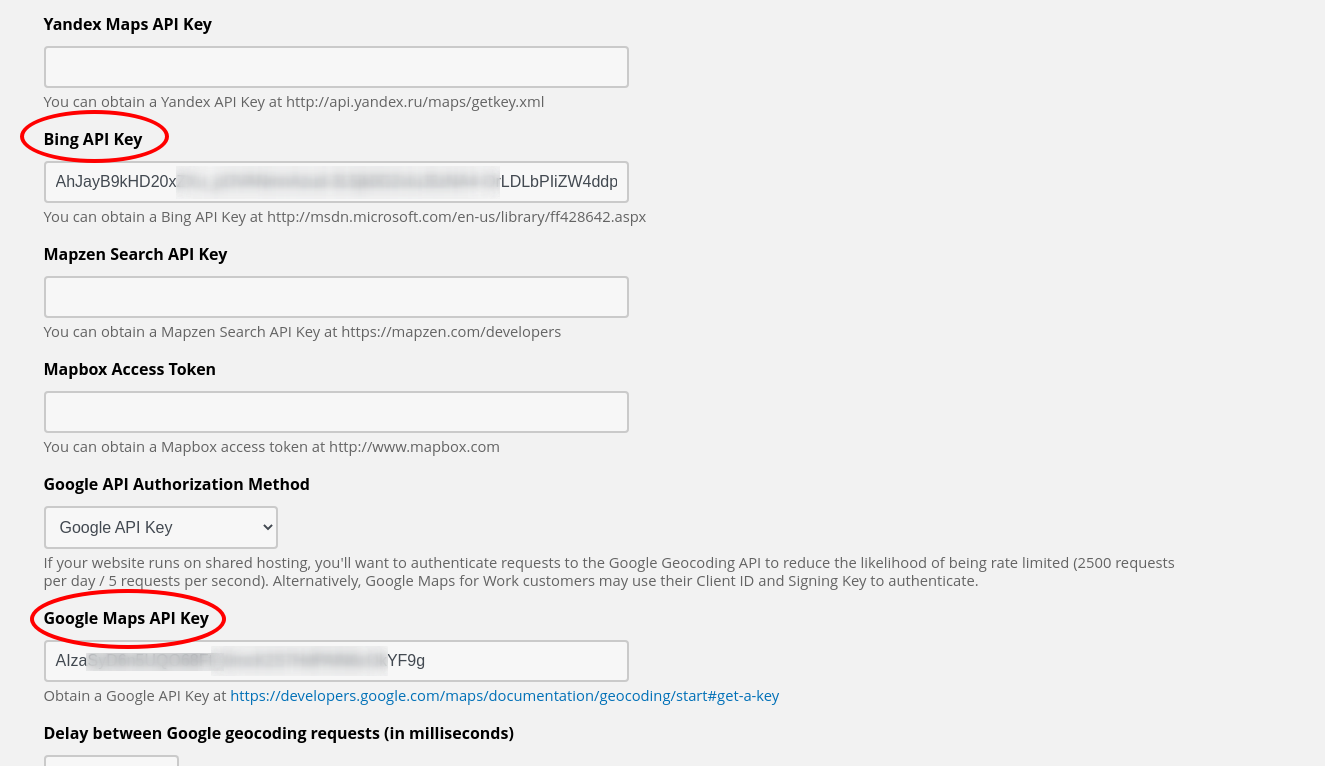 screenshot of API settings for Geocoder module